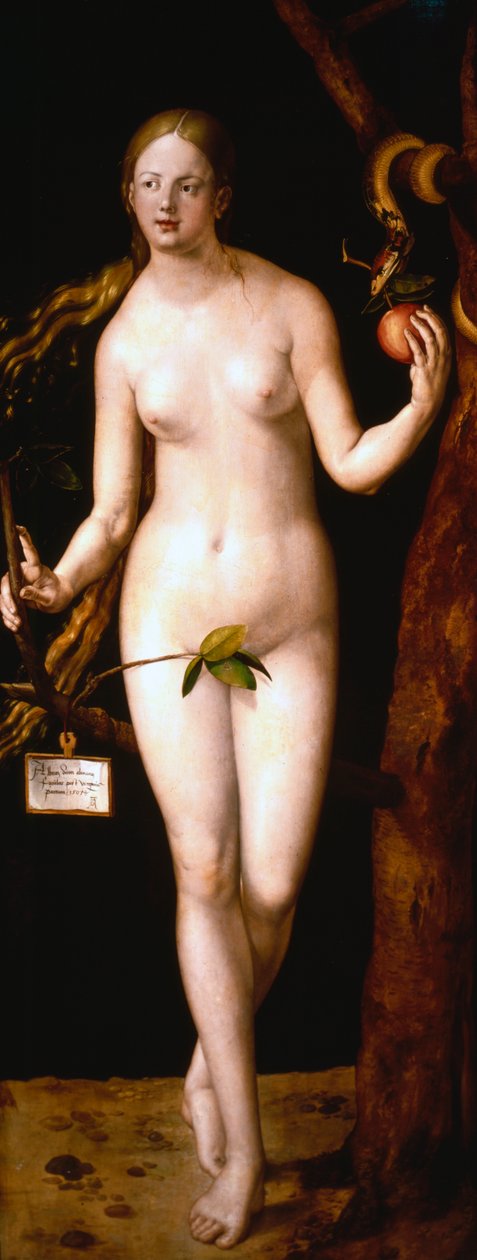 Havva, 1507 by Albrecht Dürer