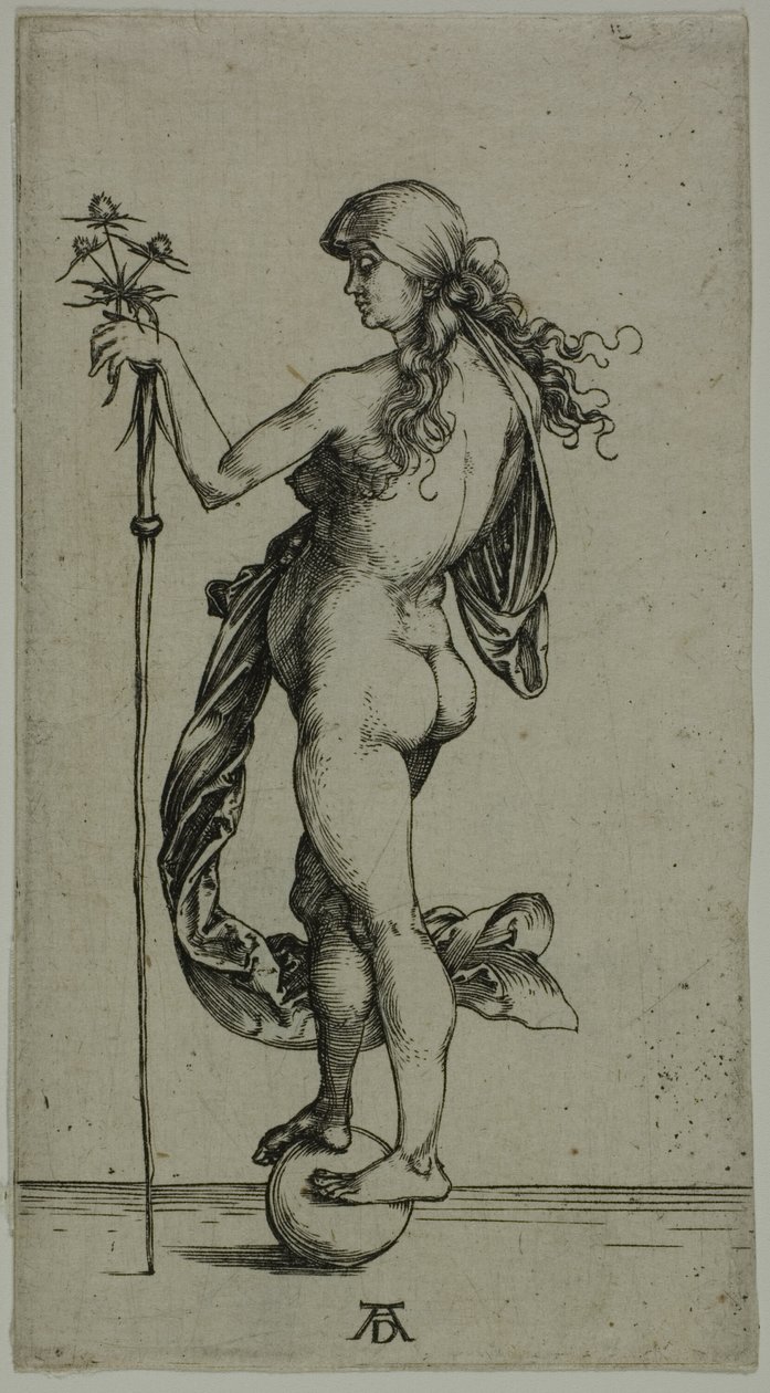 Talih by Albrecht Dürer