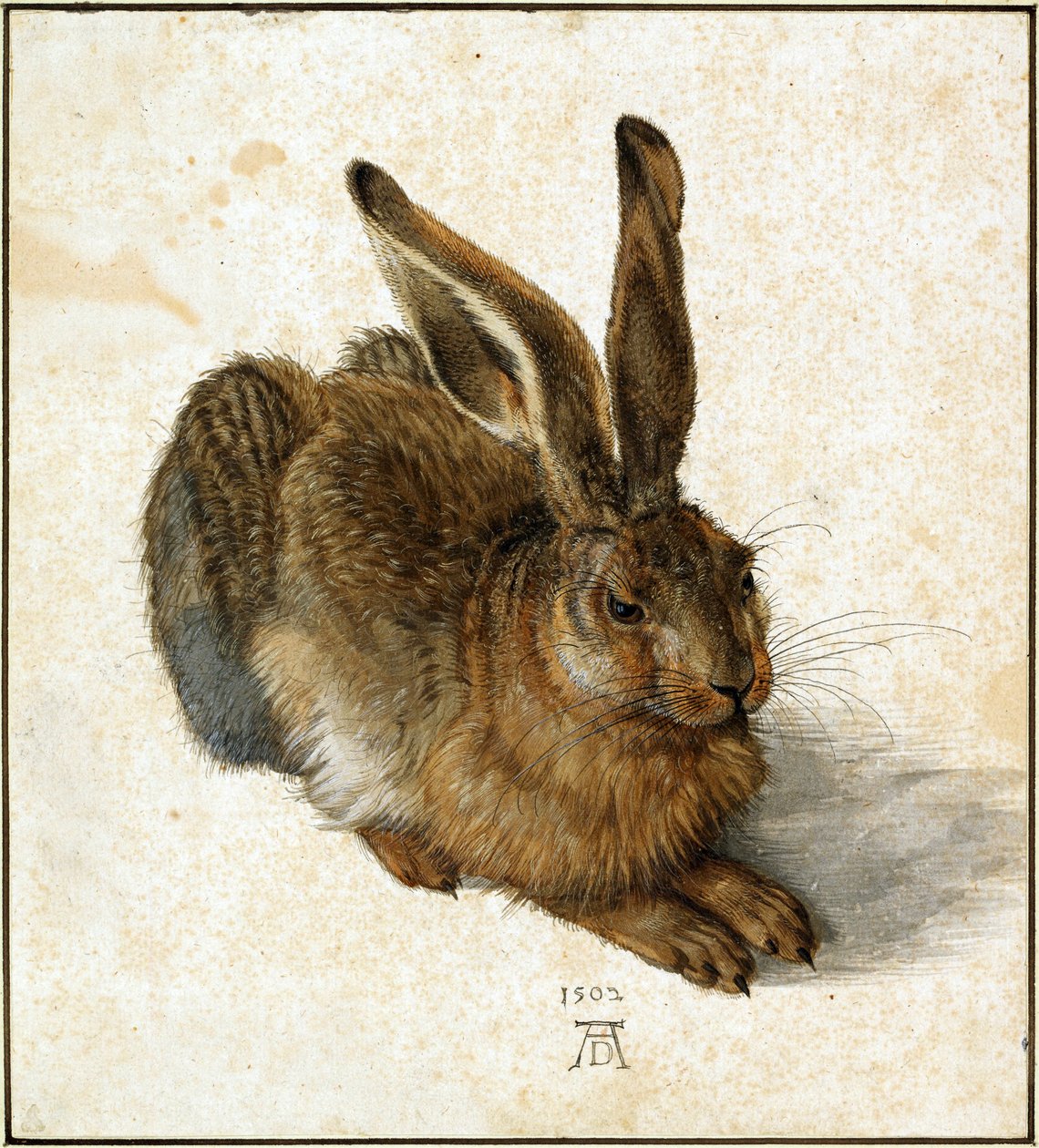  by Albrecht Dürer