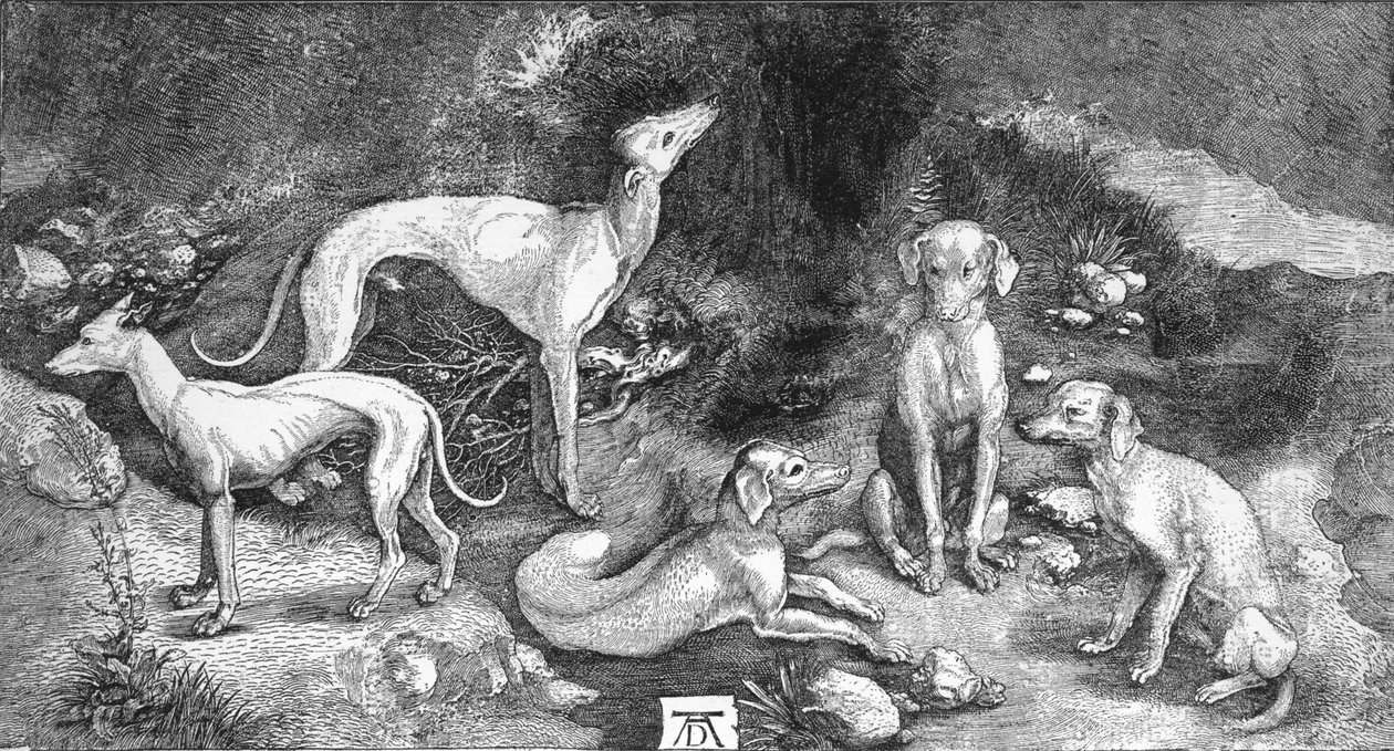 Köpekler Grubu. St. Eustace gravüründen, A. Durer, c1500, 1906 by Albrecht Dürer