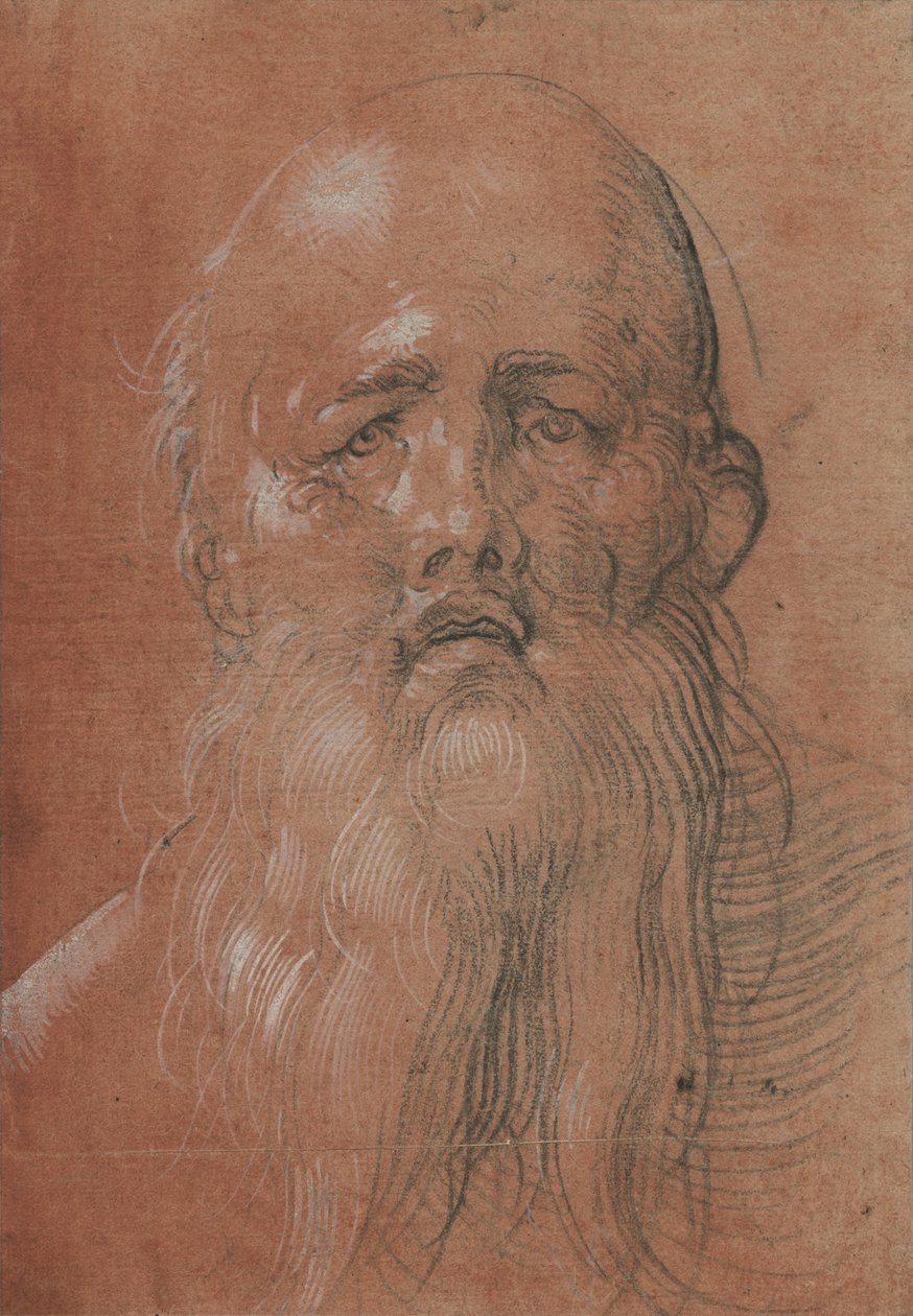  by Albrecht Dürer