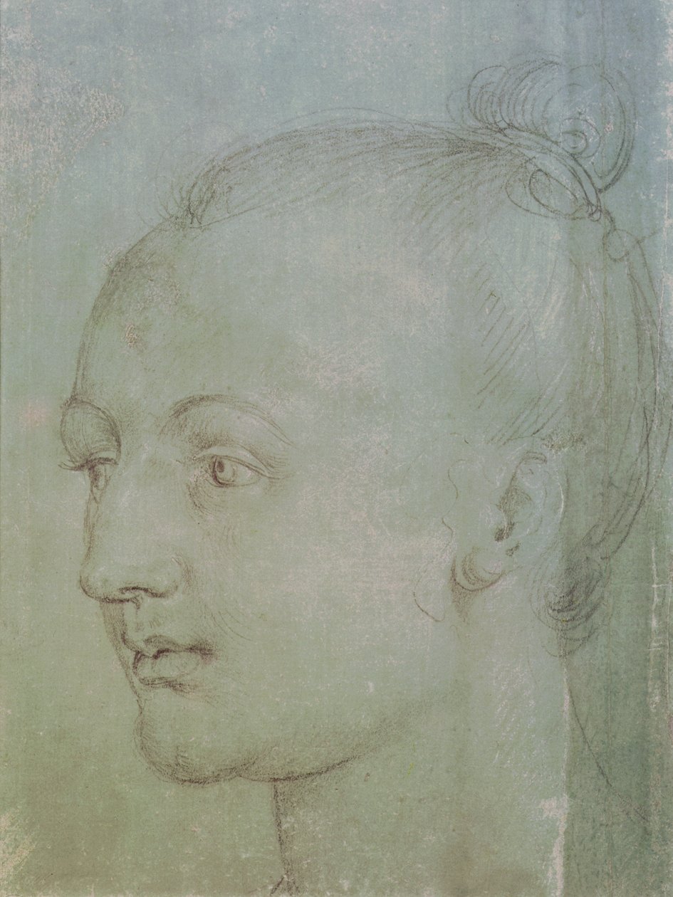 Genç Bir Kadının Başı (siyah tebeşirle yeşil kağıt üzerinde beyaz tebeşirle yükseltilmiş) by Albrecht Dürer