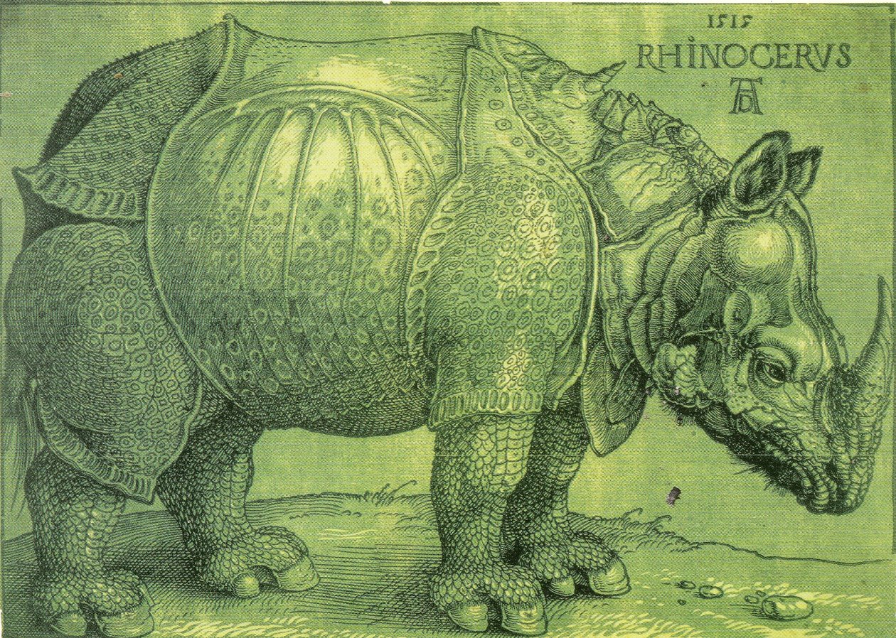  by Albrecht Dürer