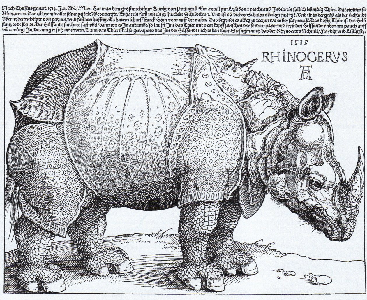  by Albrecht Dürer