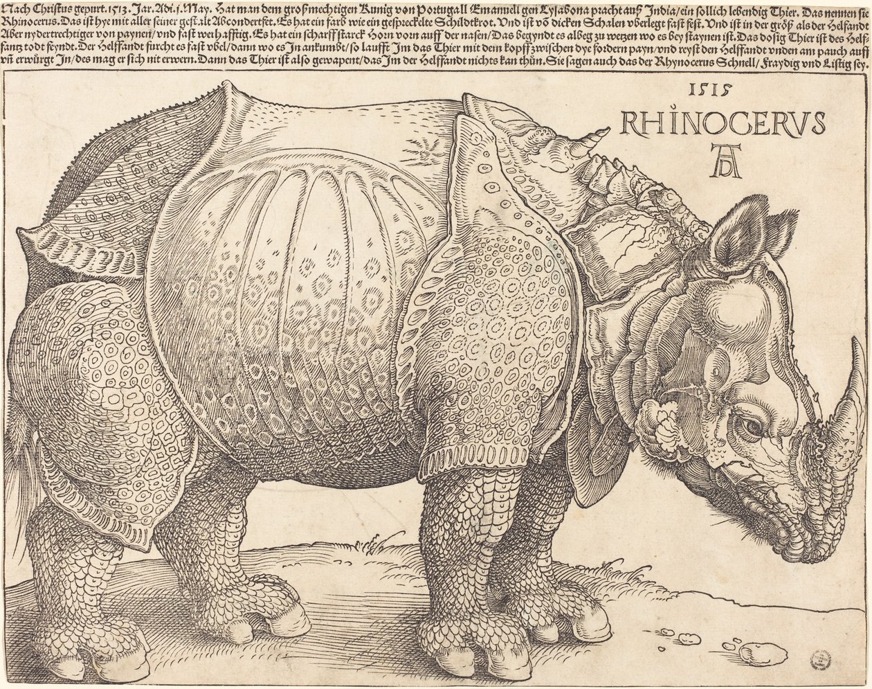  by Albrecht Dürer