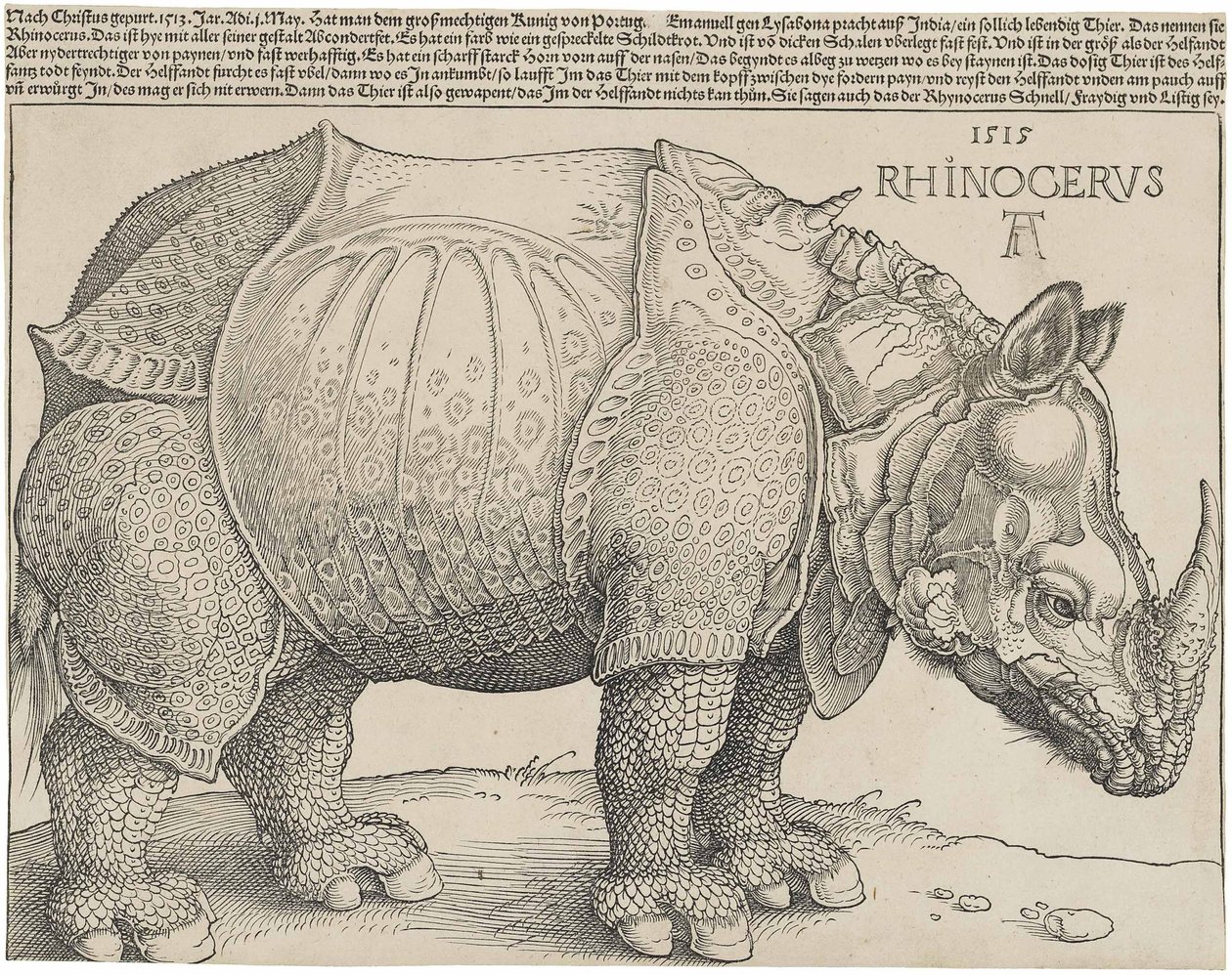  by Albrecht Dürer