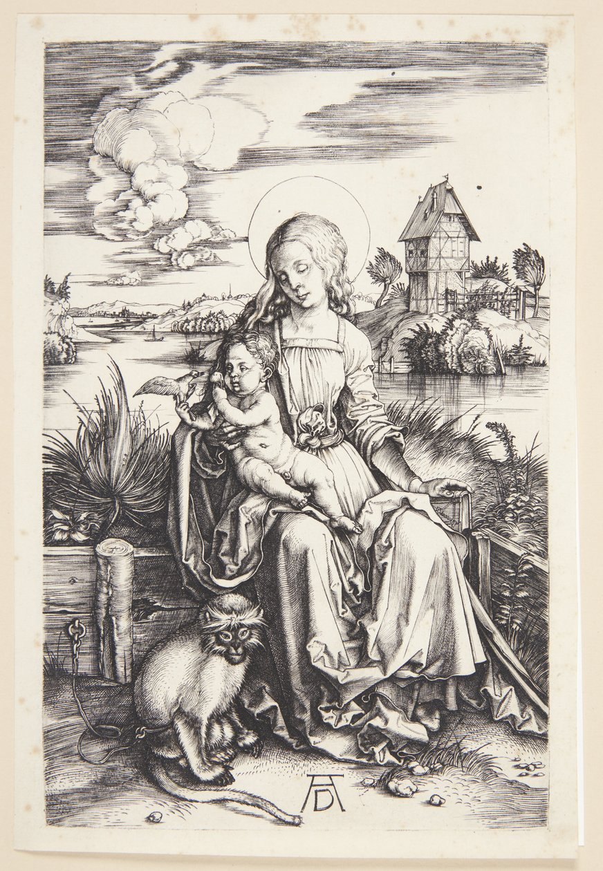 Maymun ile Madonna by Albrecht Dürer
