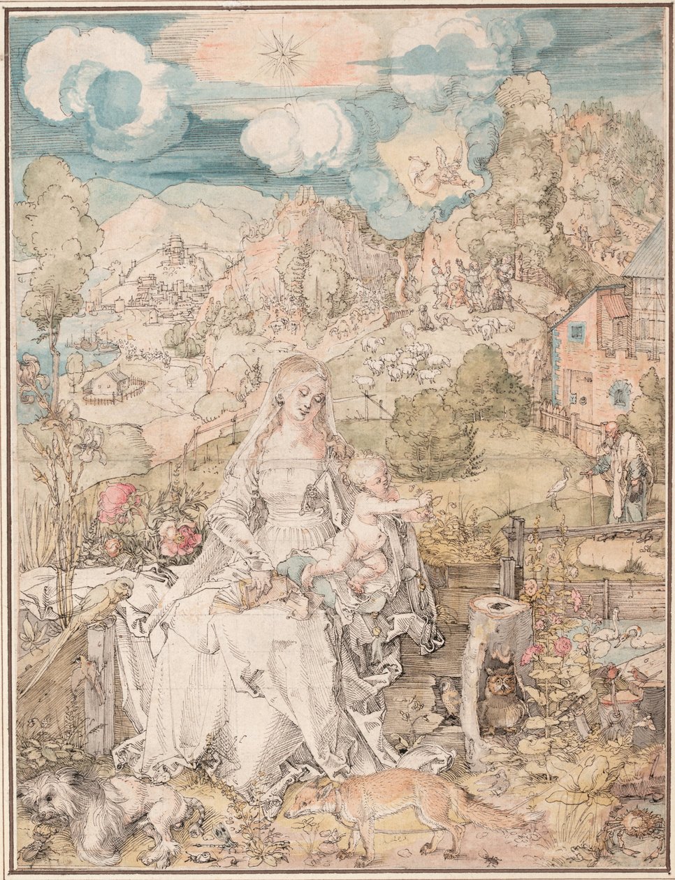  by Albrecht Dürer