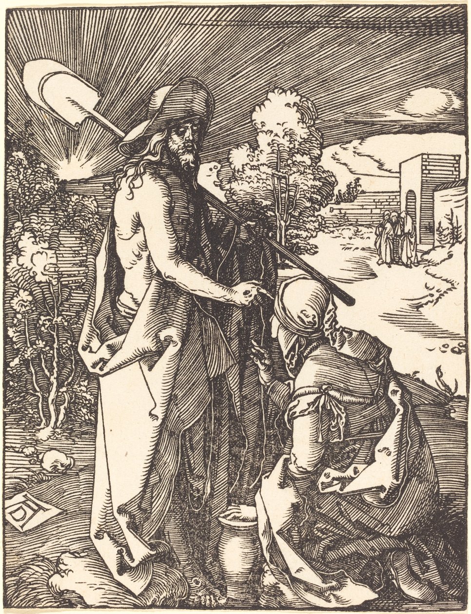 Noli Me Mandalina by Albrecht Dürer