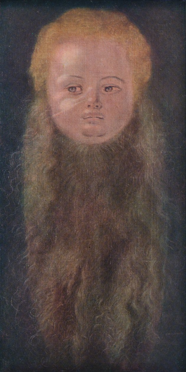 Uzun Sakallı Bir Çocuğun Portresi, 1527, 1939 by Albrecht Dürer