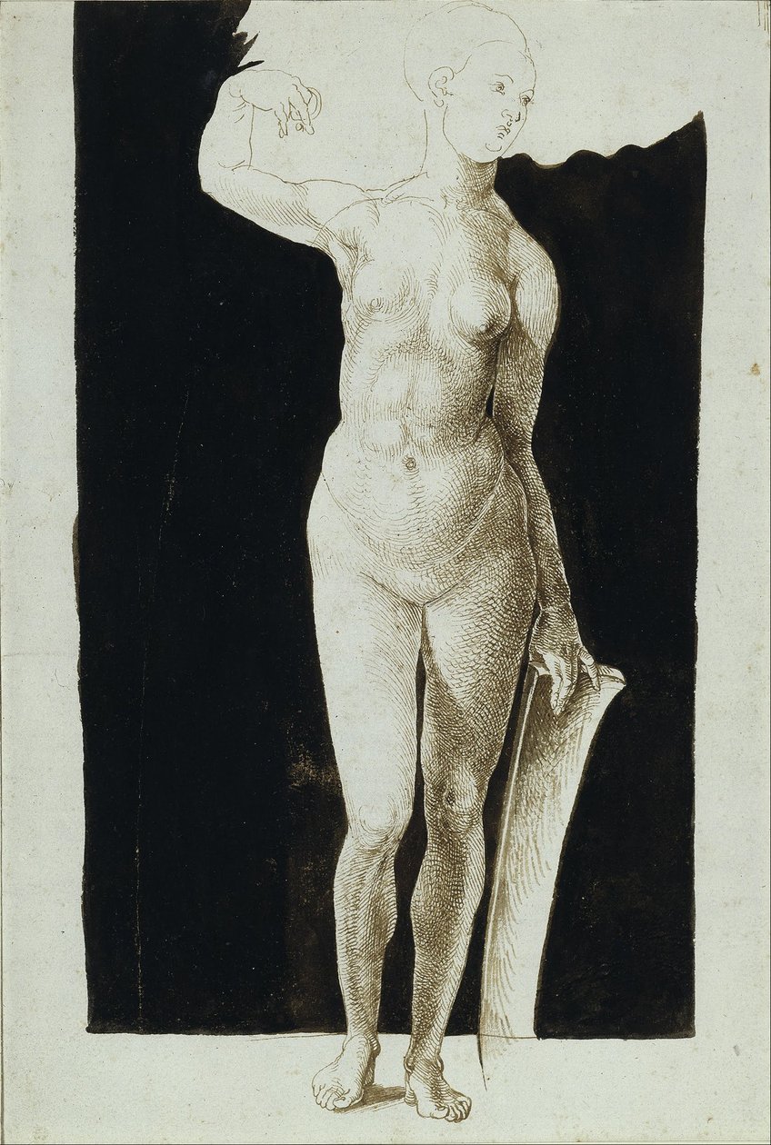  by Albrecht Dürer