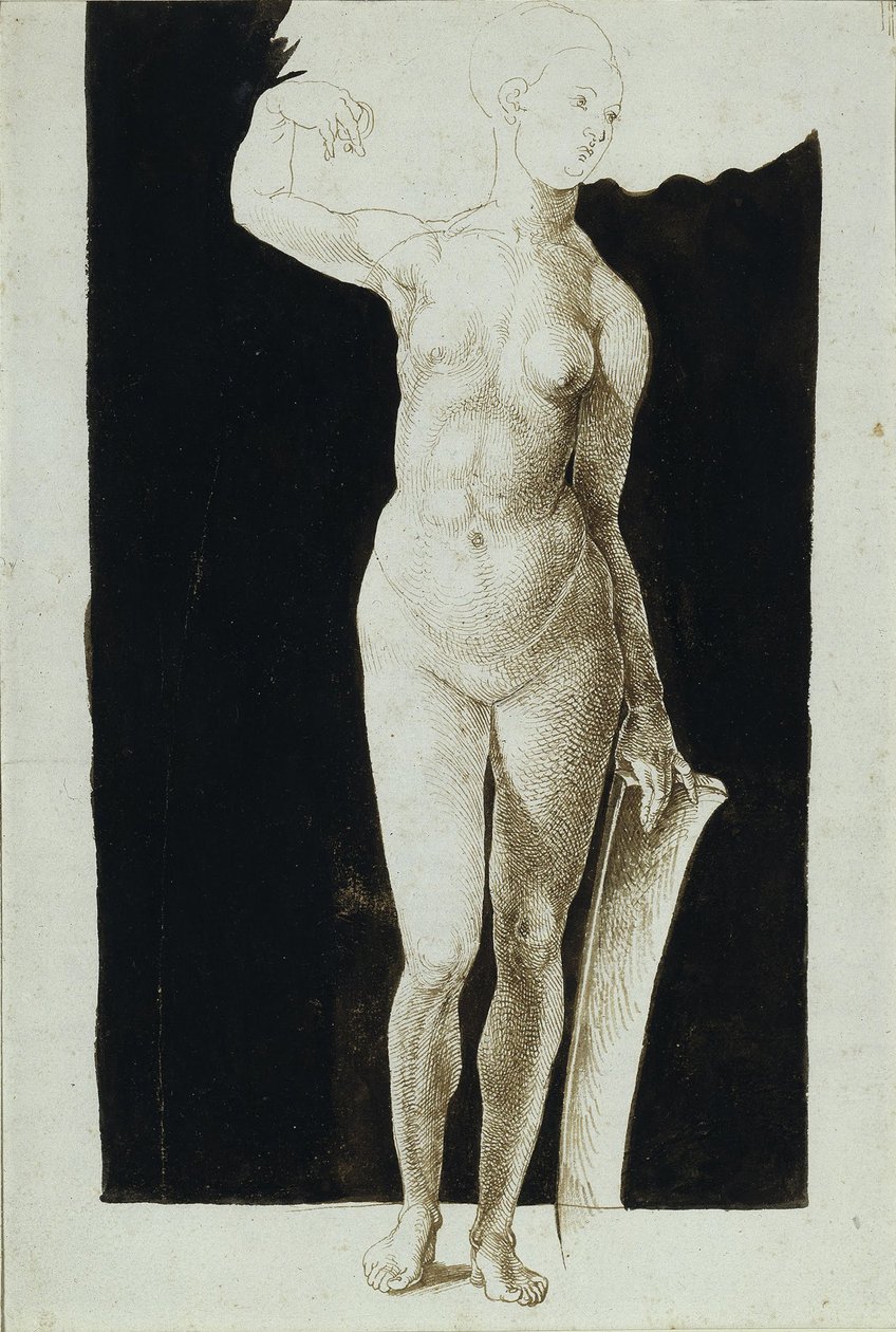 Kalkanlı çıplak kadın orantı çalışması, 1500 by Albrecht Dürer
