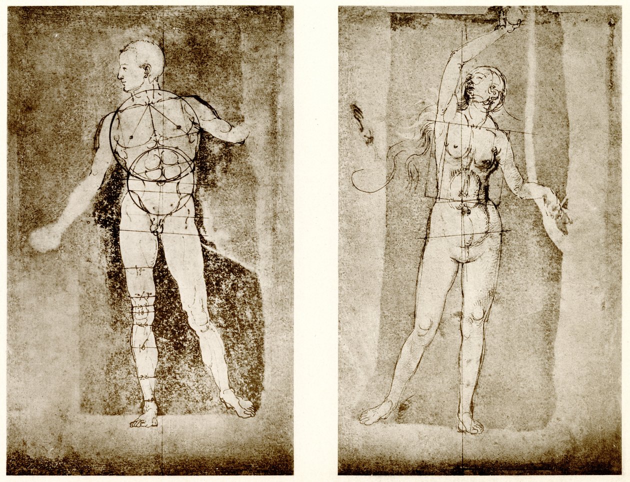 Adem ve Havva üzerinde orantı çalışması by Albrecht Dürer