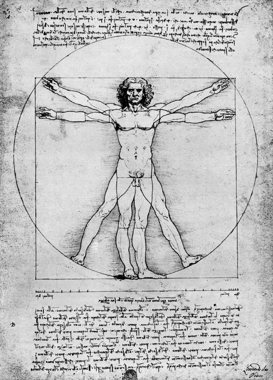 İnsan figürünün oranları, c1492, 1936 by Albrecht Dürer