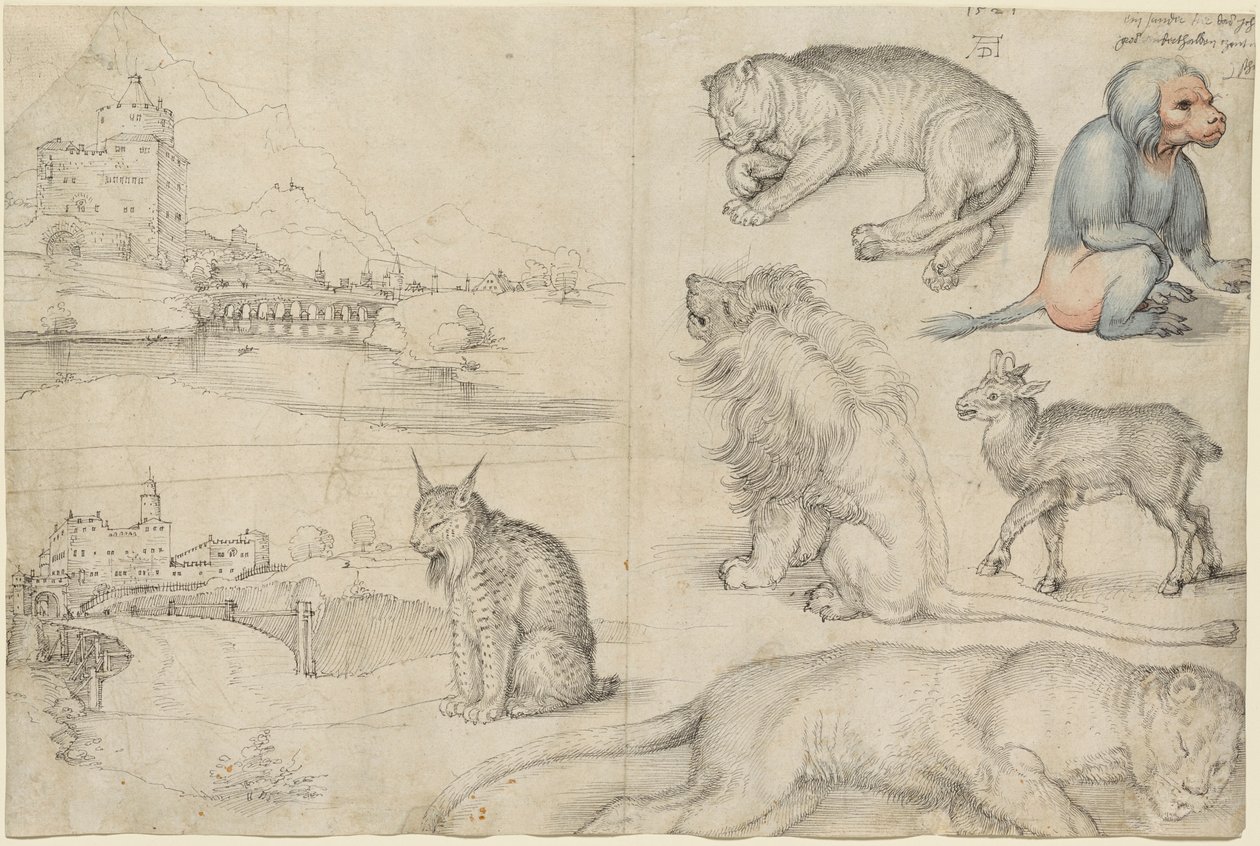 Hayvanlar ve Manzara Eskizleri, 1521. by Albrecht Dürer