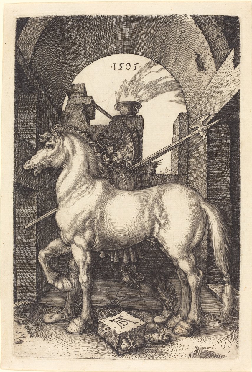 Küçük at by Albrecht Dürer