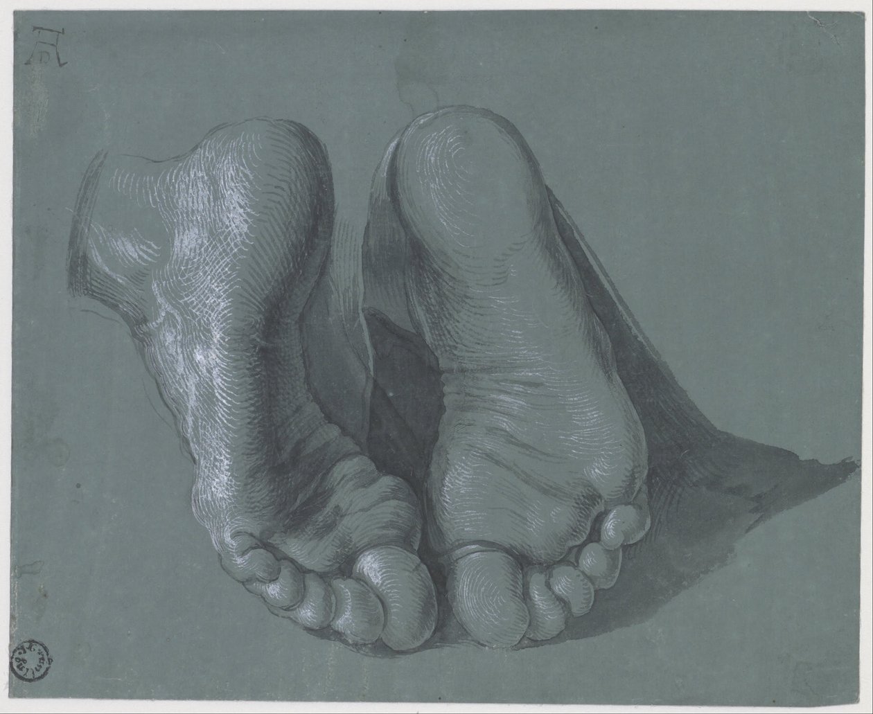  by Albrecht Dürer