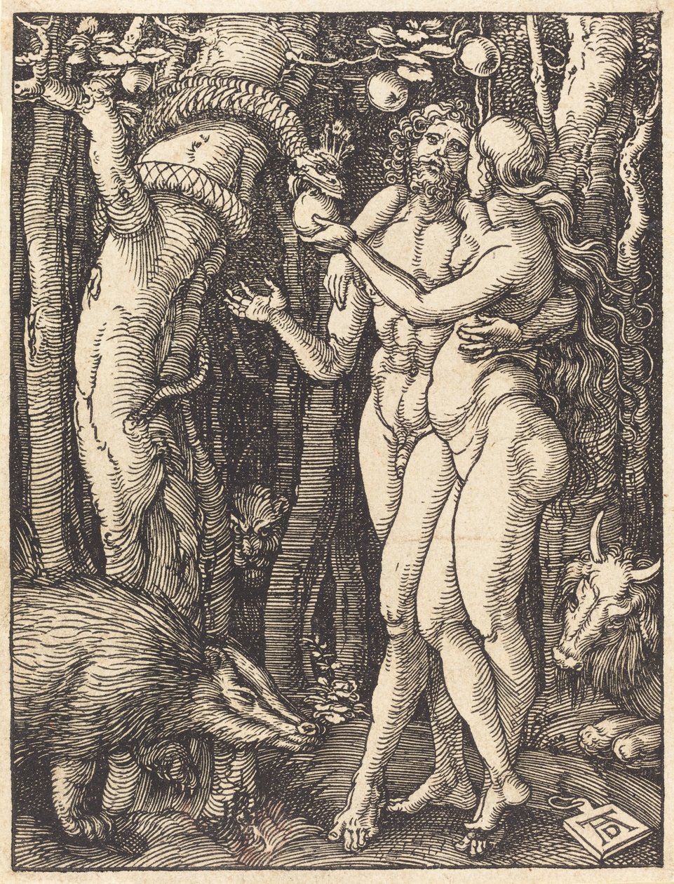 İnsanın Düşüşü, muhtemelen c. 15091510. by Albrecht Dürer
