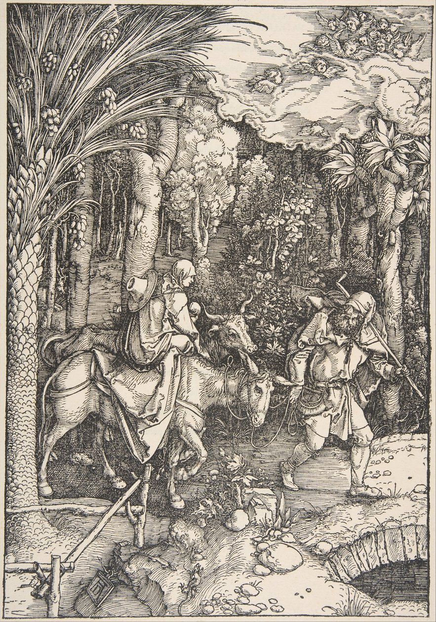 The Flight of the Virgin