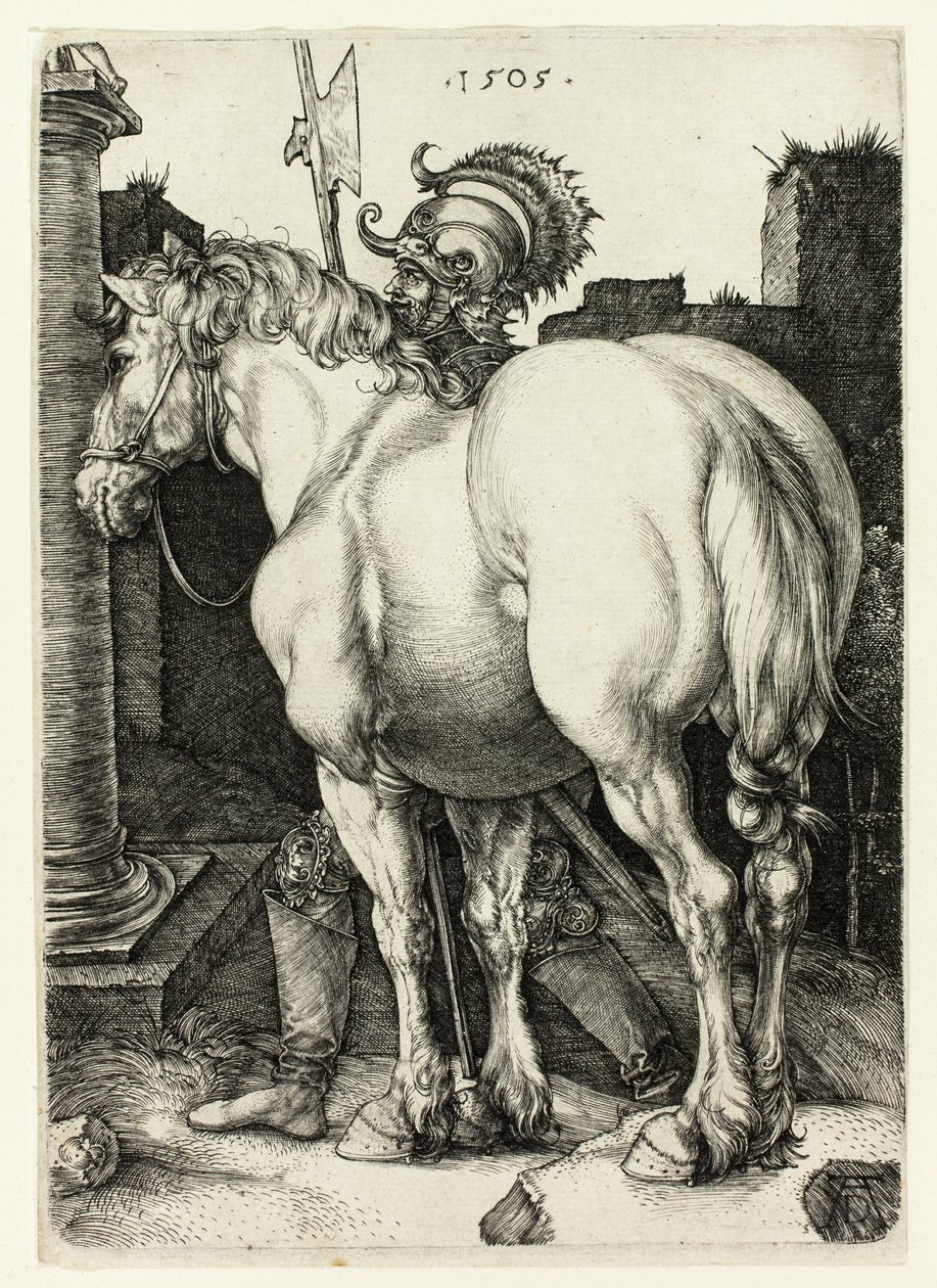 Büyük At by Albrecht Dürer