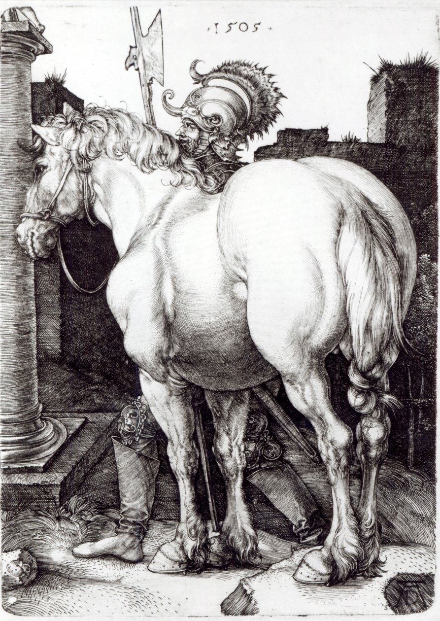 Büyük At, 1509 by Albrecht Dürer