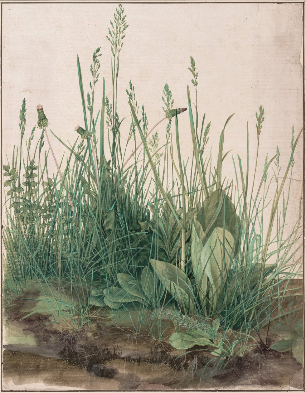  by Albrecht Dürer