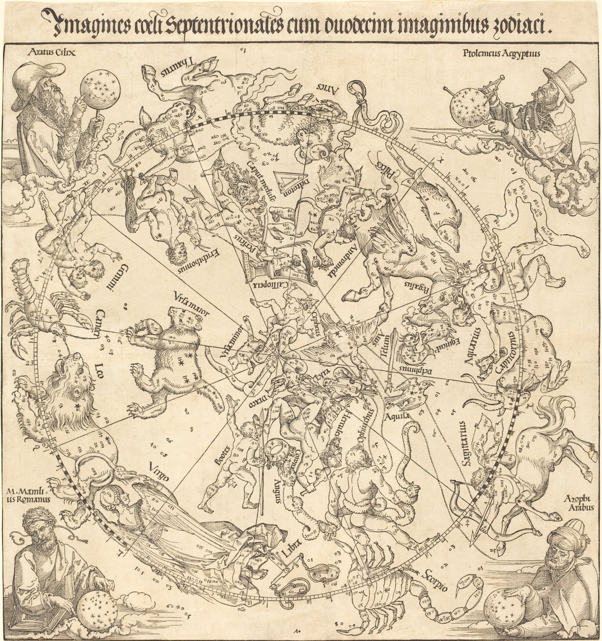 Kuzey Gök Yarım Küre by Albrecht Dürer