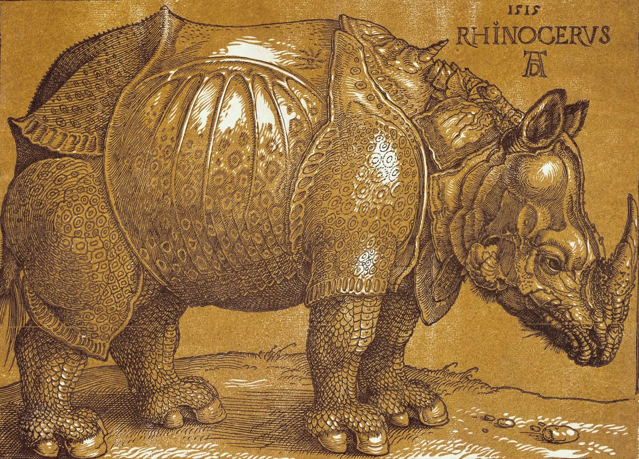 Gergedan, 1515. by Albrecht Dürer