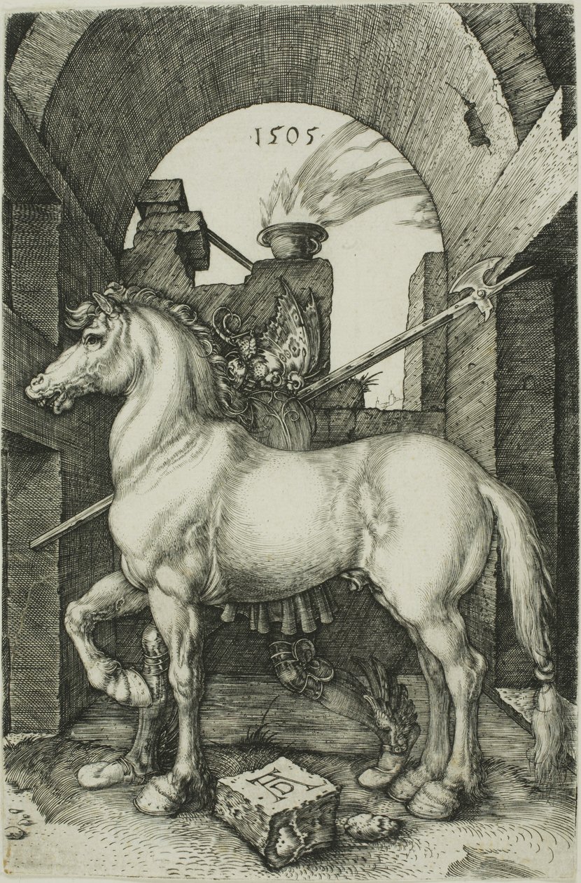 Küçük At by Albrecht Dürer