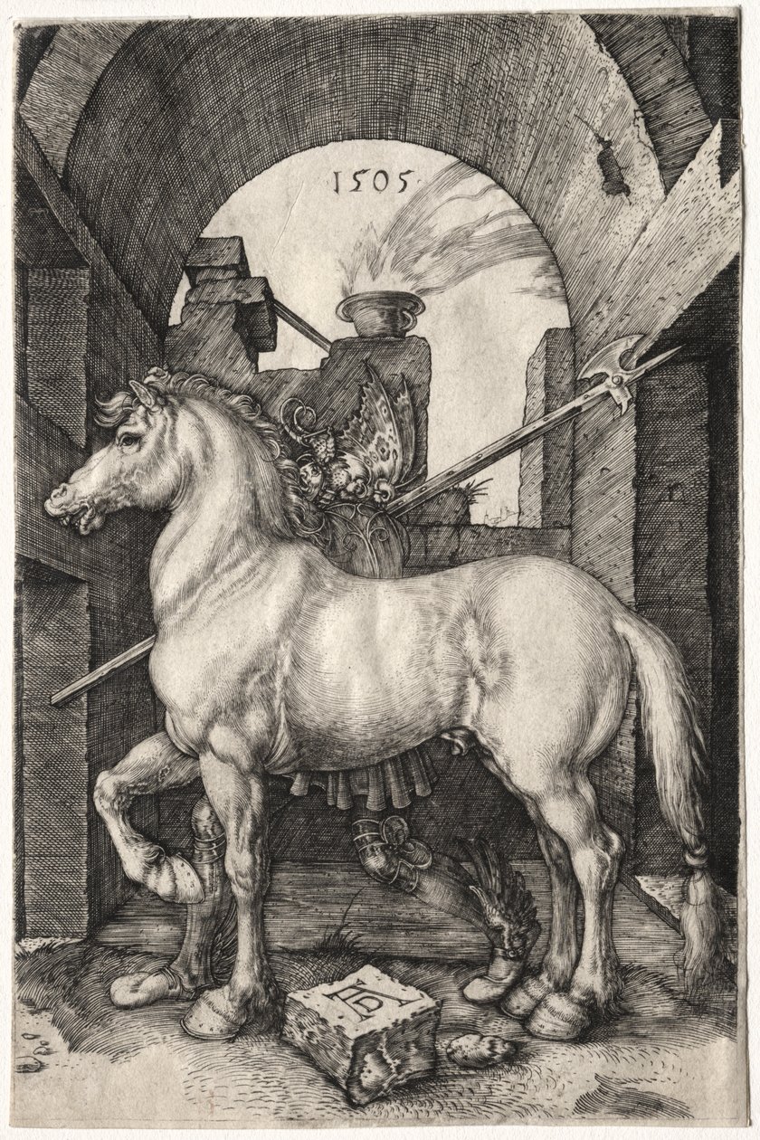 Küçük At by Albrecht Dürer
