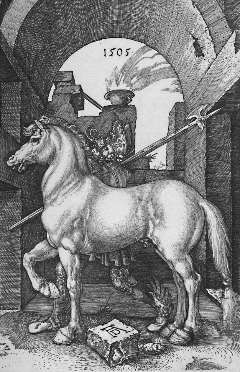 Küçük At, 1505, 1906 by Albrecht Dürer
