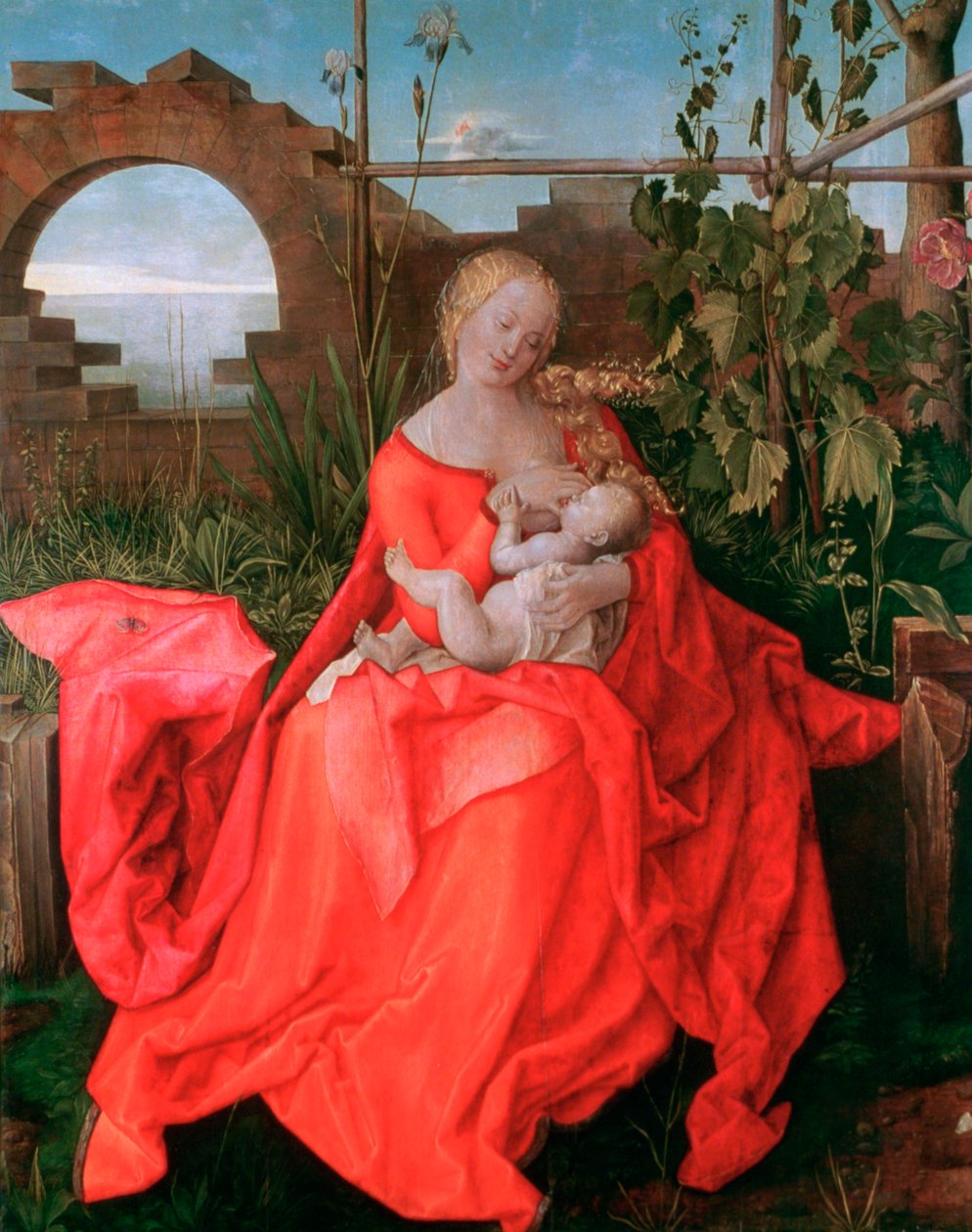 Bakire ve Çocuk, İrisli Madonna, 1500-1510 by Albrecht Dürer