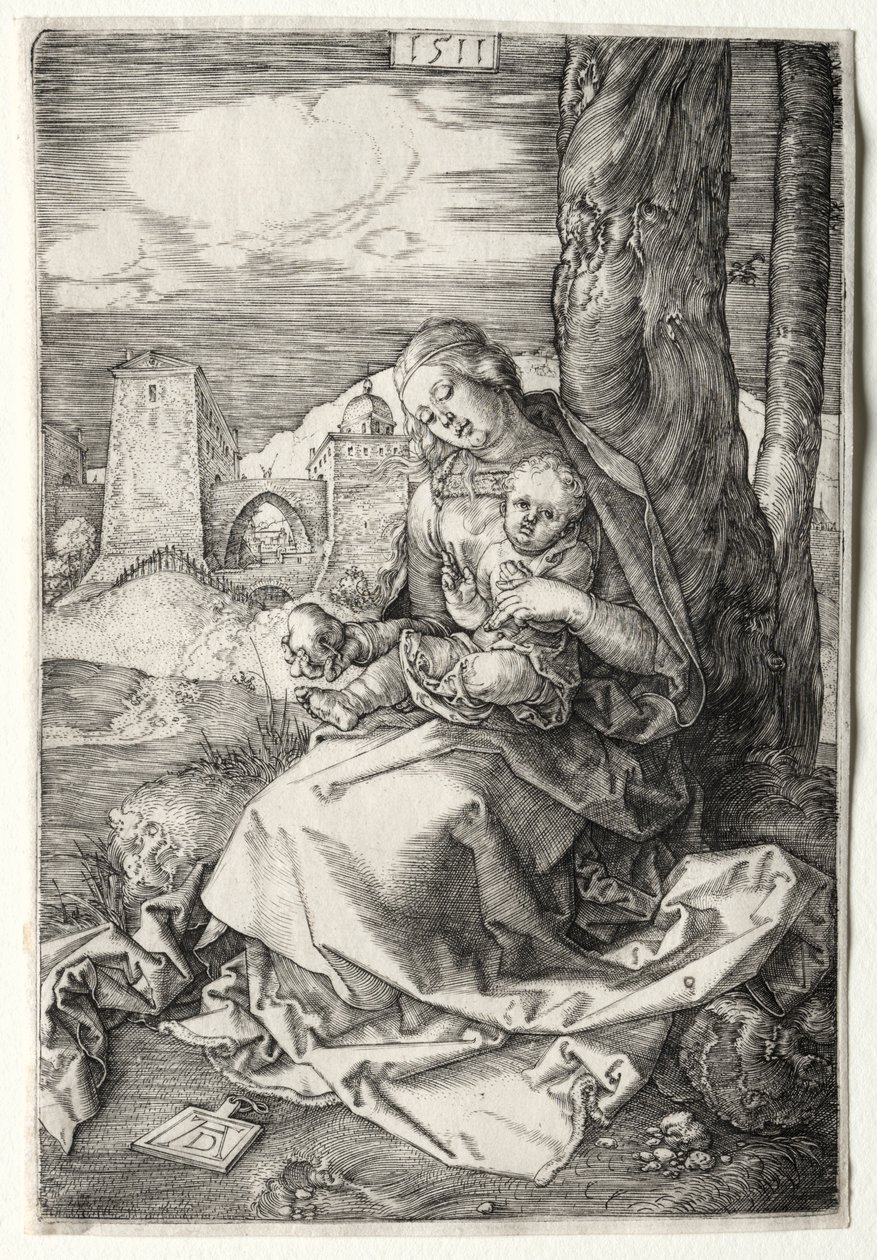 Bakire ve Armutlu Çocuk by Albrecht Dürer