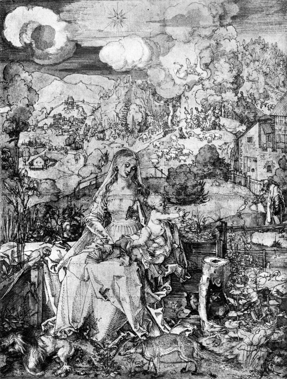 Bakire ve birçok hayvan, 1505, 1936 by Albrecht Dürer