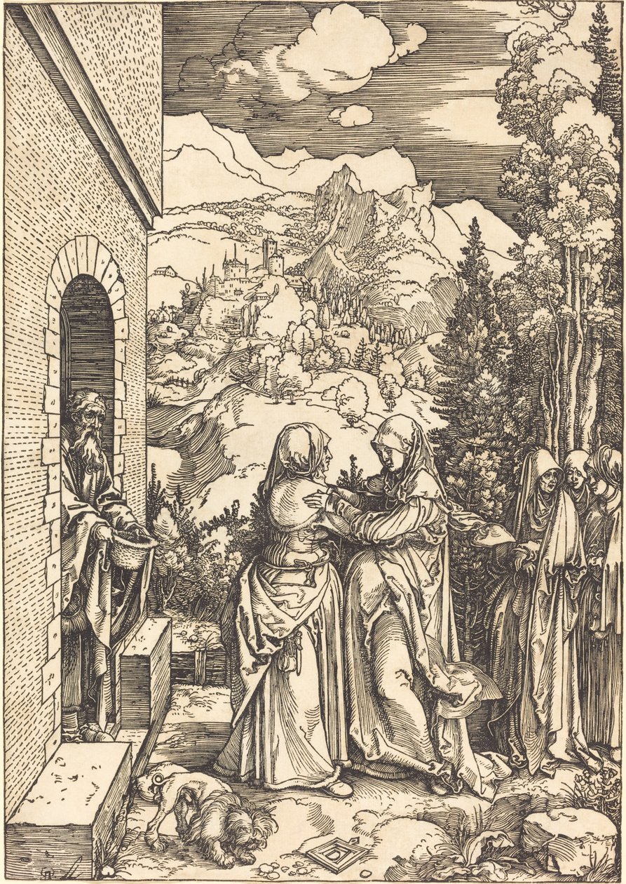 Ziyaret by Albrecht Dürer