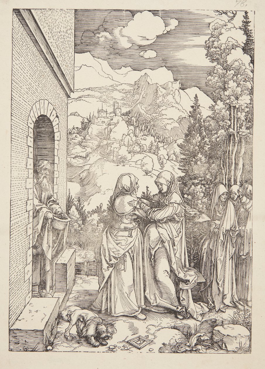 Ziyaret by Albrecht Dürer