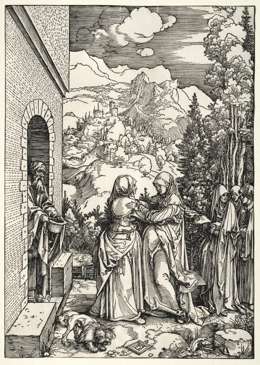 Ziyaret by Albrecht Dürer
