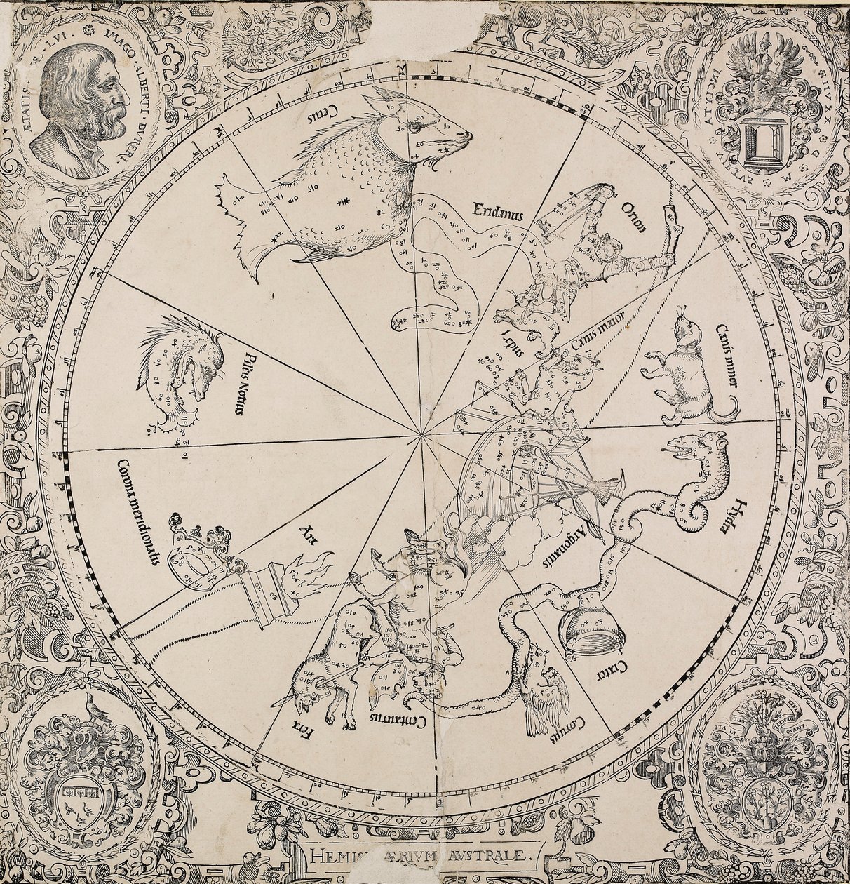 Güney yarımkürenin göksel haritası, 16. yüzyılın başlarında by Albrecht Dürer