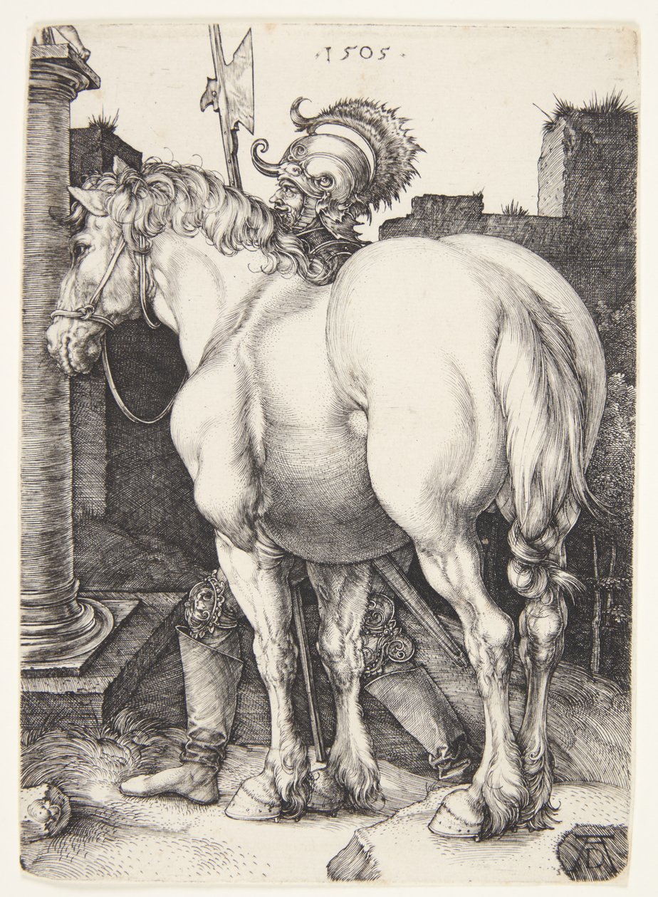büyük at by Albrecht Dürer