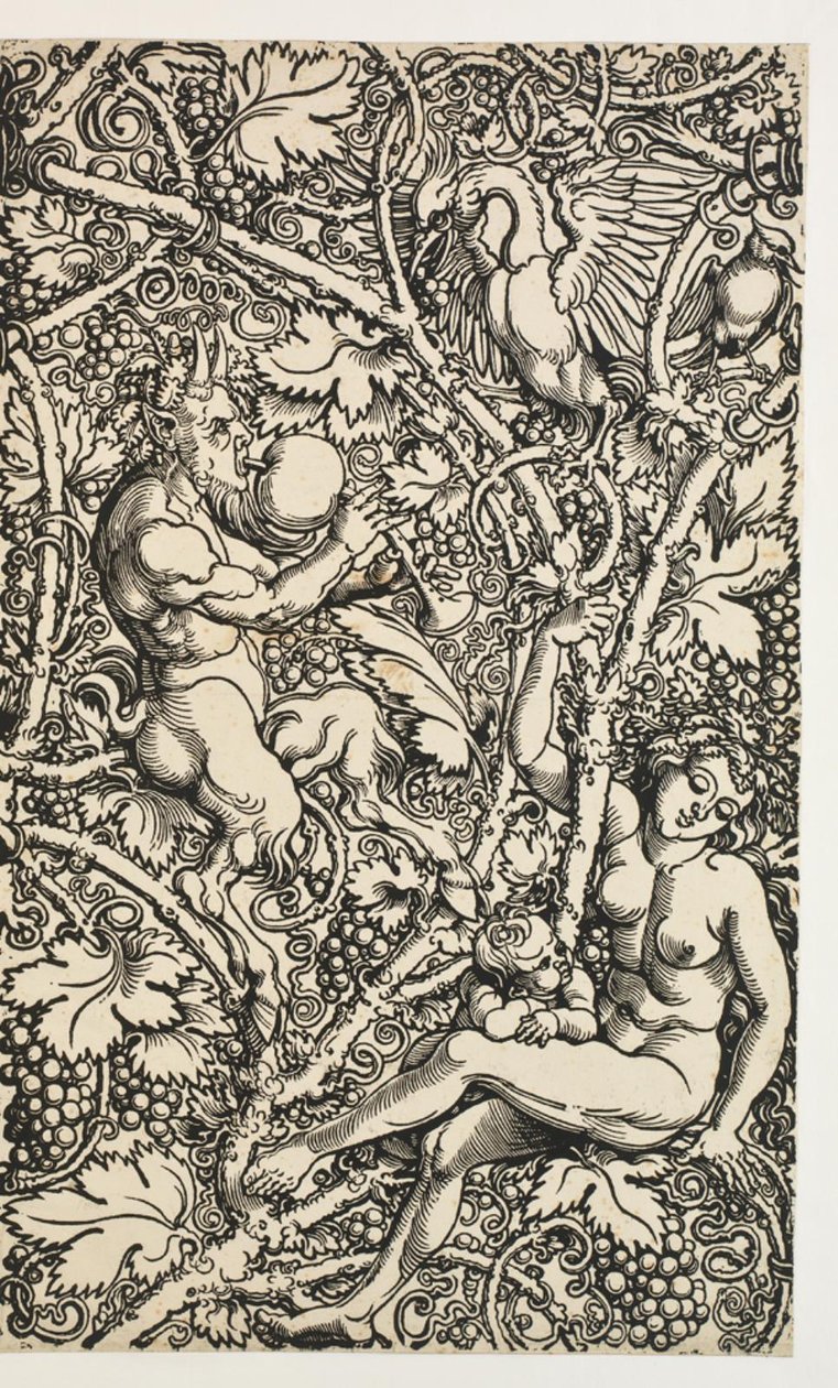 Satyrfamily ile goblen için iki tasarım by Albrecht Dürer