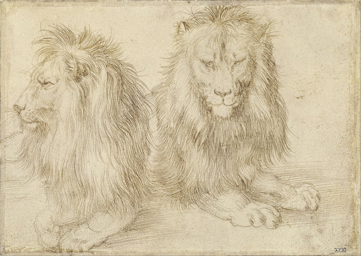  by Albrecht Dürer