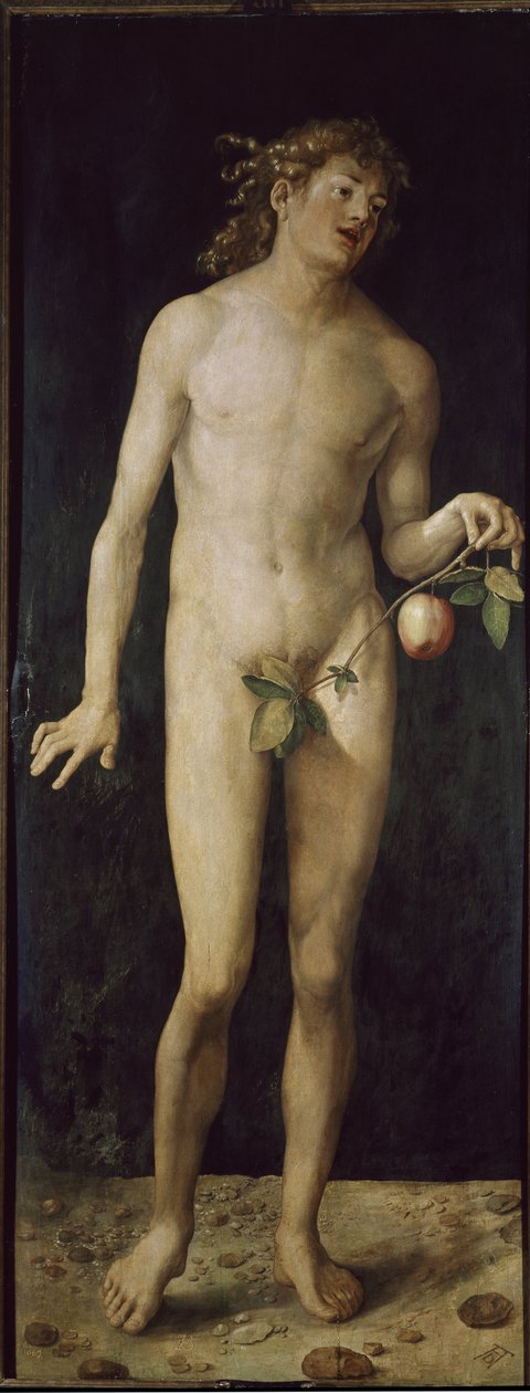 Adam (tahta üzerine yağ by Albrecht Dürer