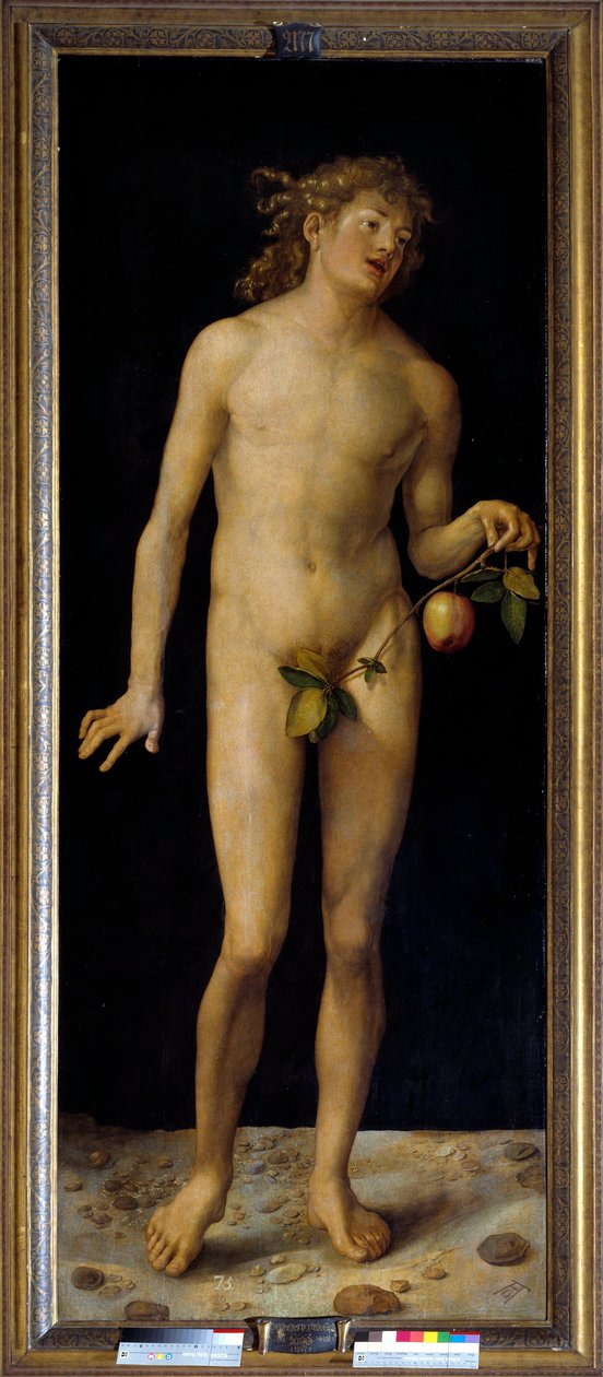 Albrecht Durer (1471-1528) 1507 Sun tarafından Adam Tablosu. 2,09 x 0,80 m Madrid, Prado Müzesi - Adam. Albrecht Durer (1471-1528) tablosu, panel üzerine yağlı boya by Albrecht Dürer