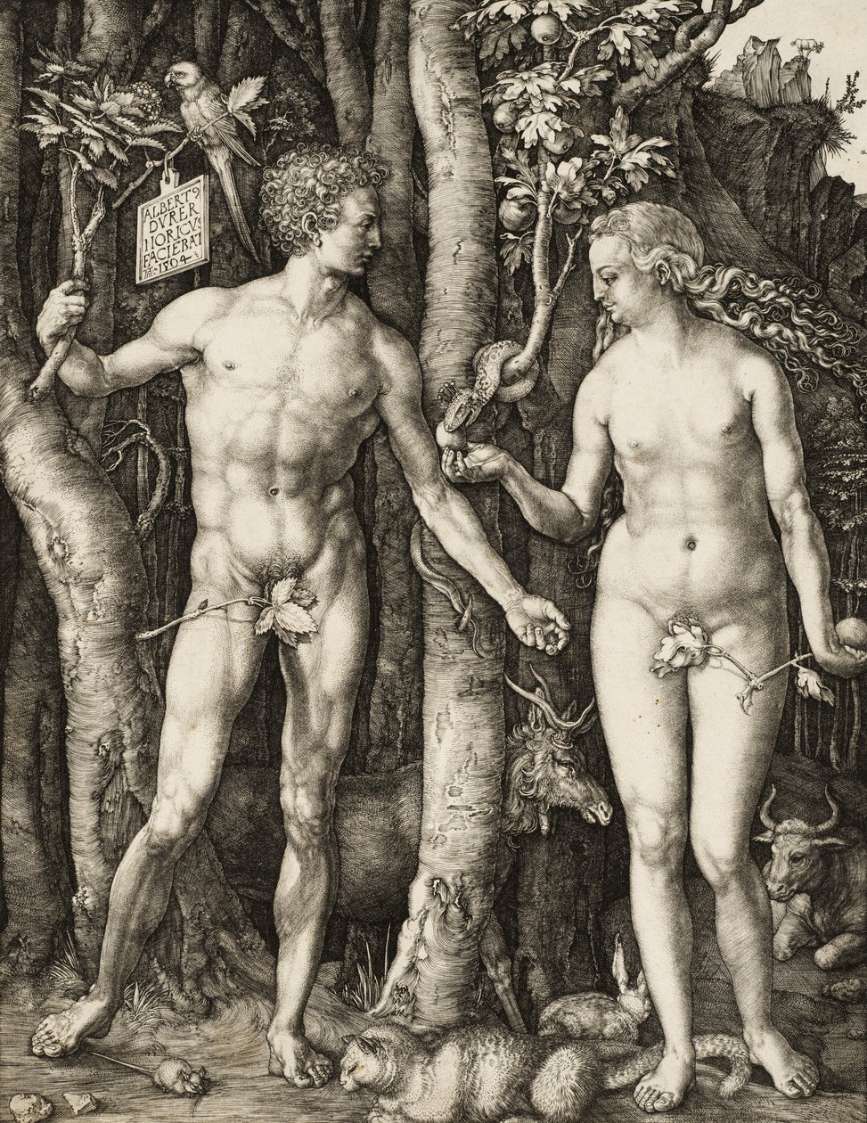 Adem ve Havva by Albrecht Dürer