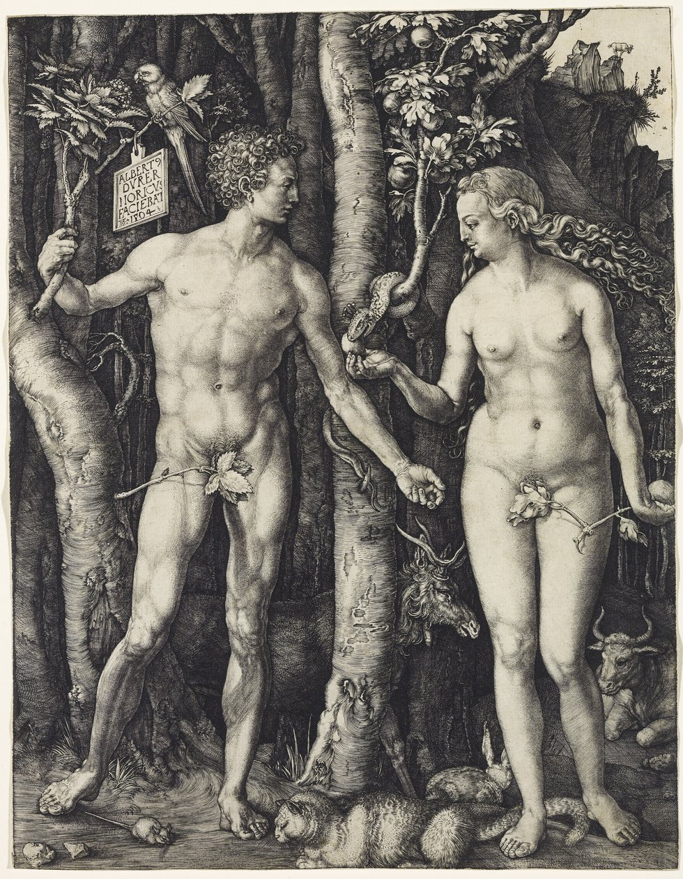 Adem ve Havva by Albrecht Dürer