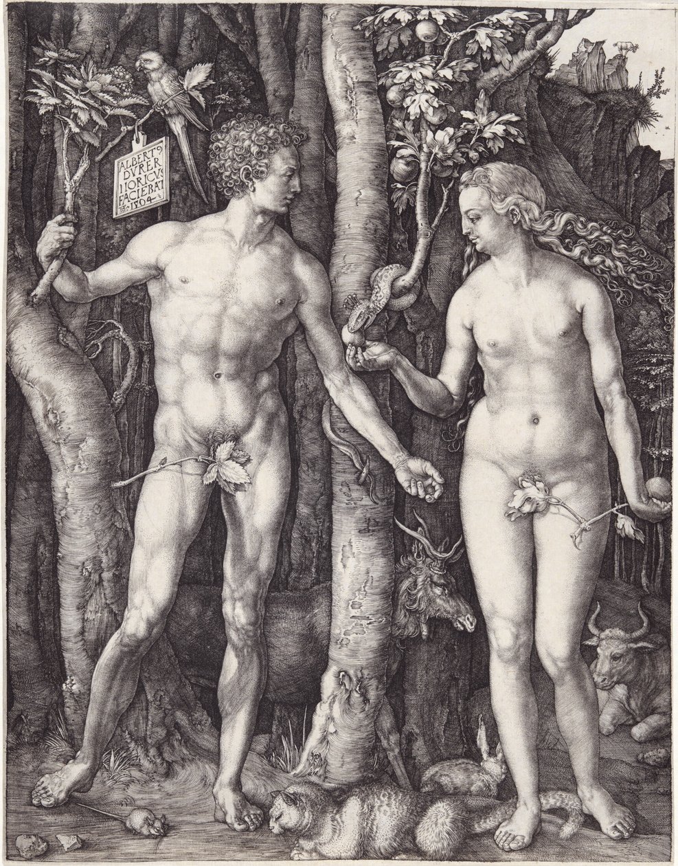 Adem ve Havva, pub. 1504 (gravür) by Albrecht Dürer
