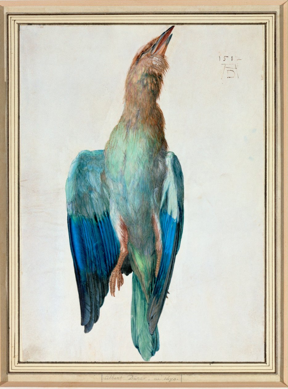  by Albrecht Dürer or Duerer