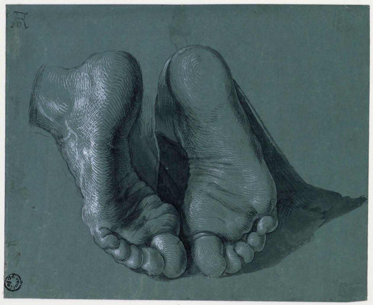 Etude de pieds - İki Ayak Çalışması - Albrecht Durer (1471-1528), Suluboya, beyaz renk, kağıt üzerine siyah tebeşir, c1508 (17,6x21.6cm) - Boijmans Van Beuningen Müzesi, Rotterdam by Albrecht Dürer