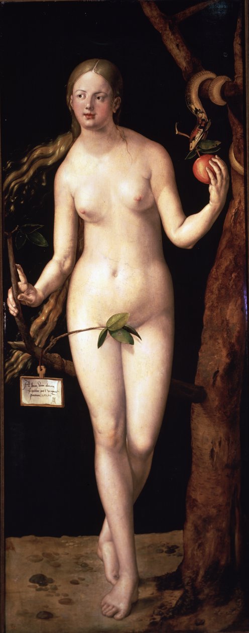  by Albrecht Dürer or Duerer