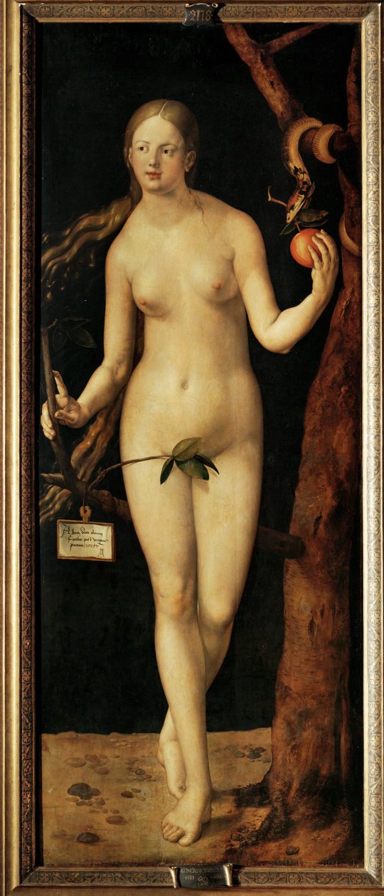  by Albrecht Dürer or Duerer